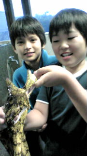 20110618183931.jpg