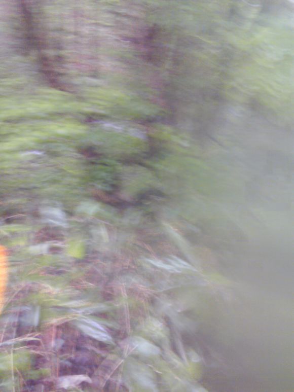 201105291634000.jpg