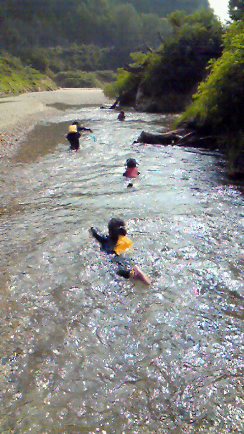 201108171559000.jpg