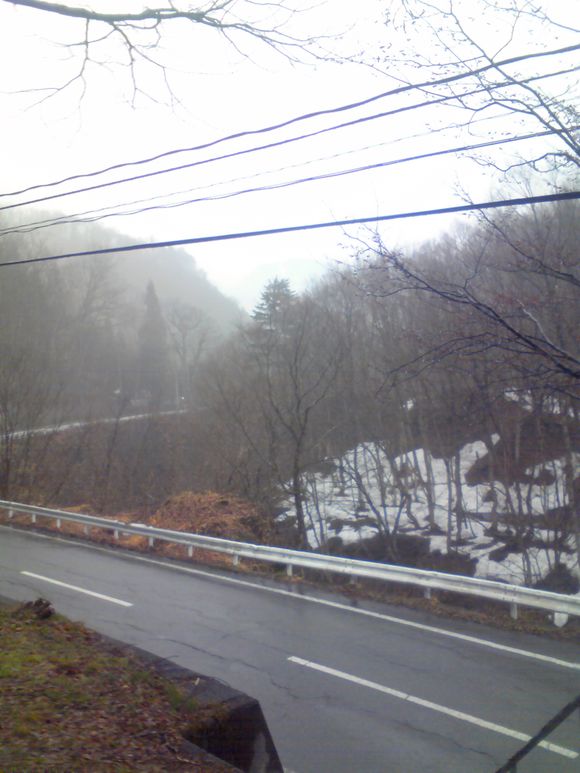 image.jpg