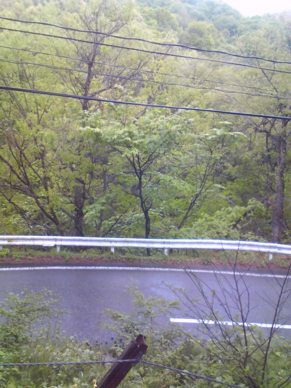 201105291634000.jpg