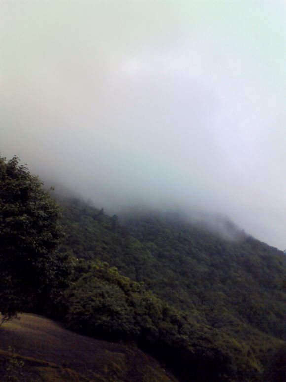 201106181412000.jpg