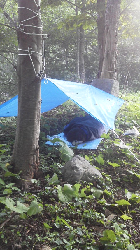 20110814060503.jpg