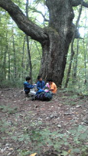 20111002071802.jpg