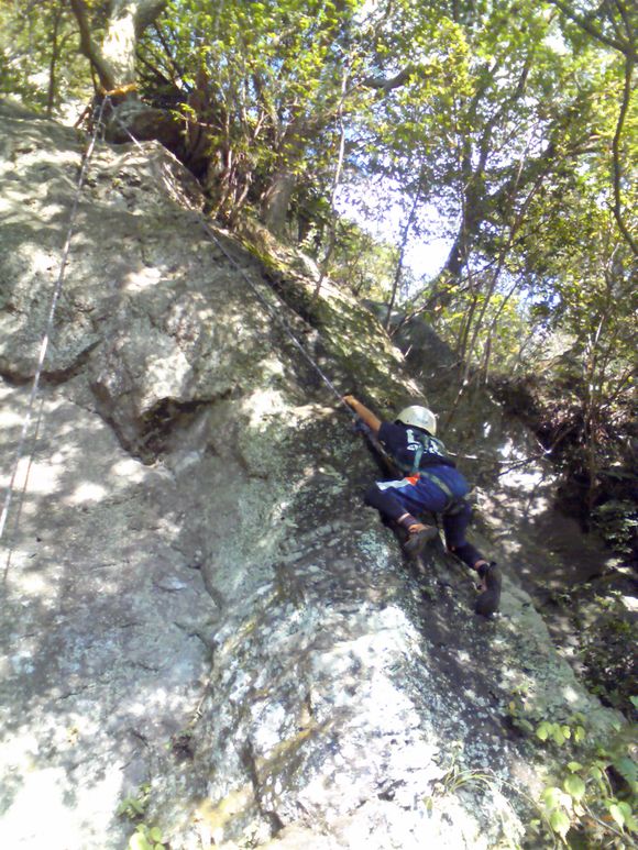 201111131045000.jpg