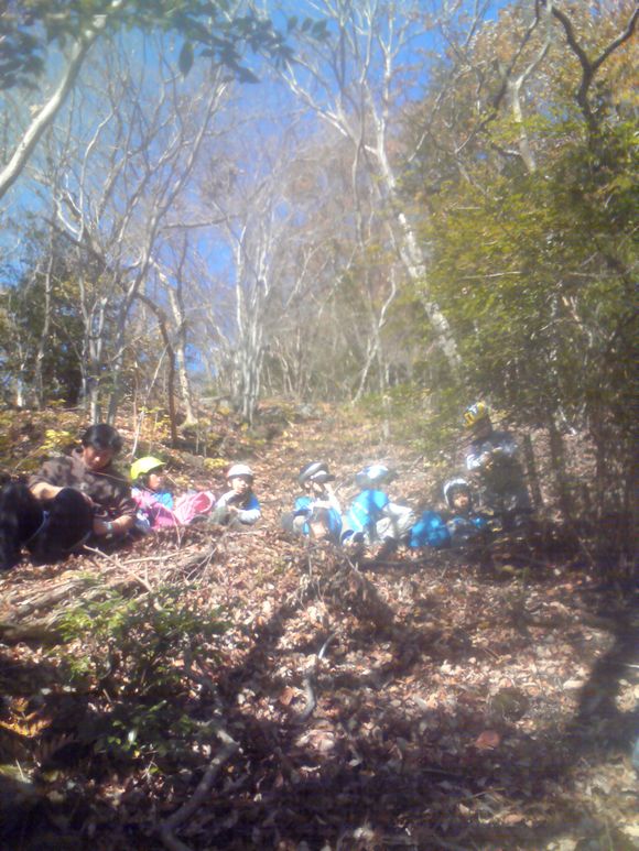 201112110950001.jpg