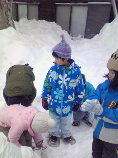201201081017000.jpg