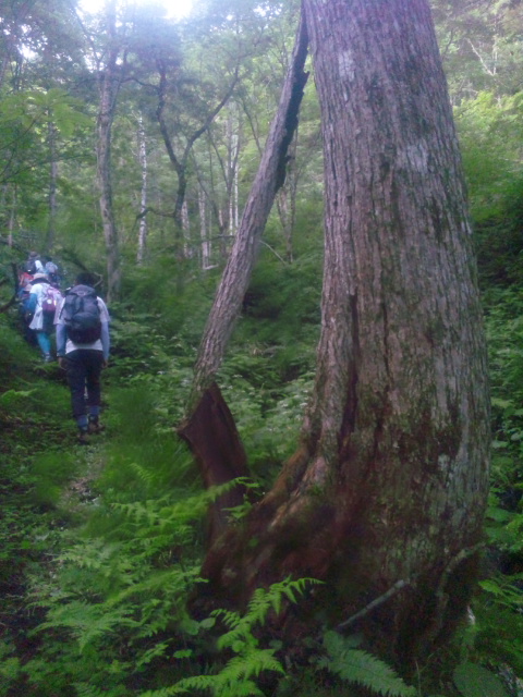 120816_045516.jpg