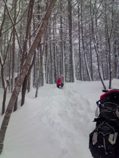 201201071619000.jpg