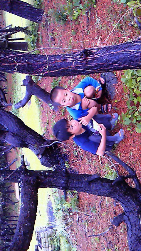 201206170548000.jpg