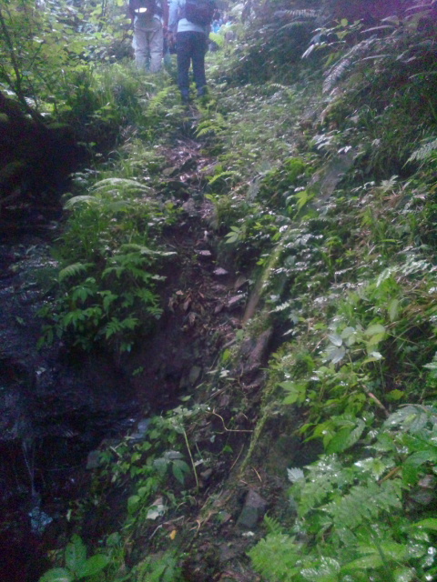 120816_045516.jpg