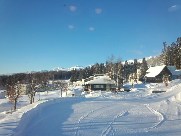 DSC_0265.jpg