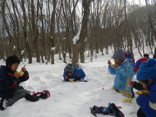 IMGP3115