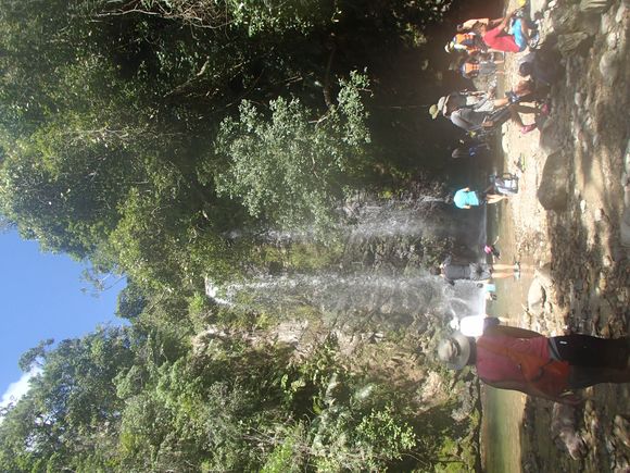 P7311932.jpg