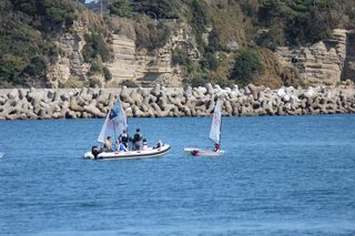 IMG_6184