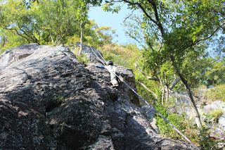IMG_6319 IMG_6319