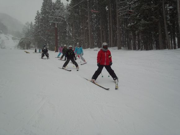 DSC_0336.jpg
