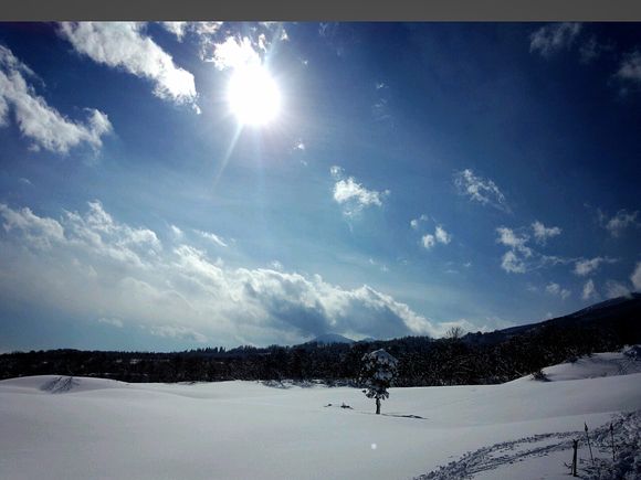 LINEcamera_share_2014-01-12-12-37-52.jpg