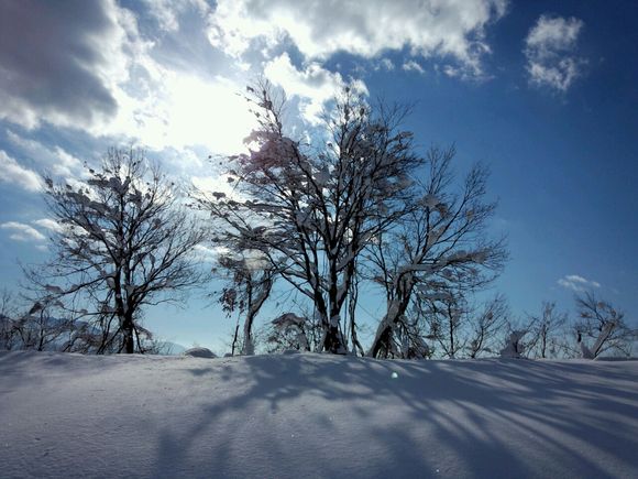 2014-01-12-10-22-21_photo.jpg