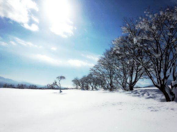 LINEcamera_share_2014-01-12-10-49-21.jpg