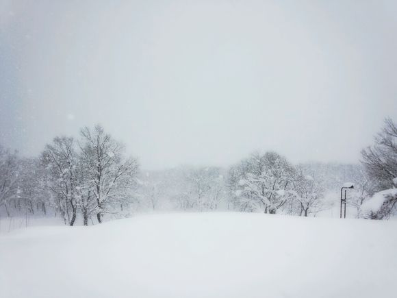 LINEcamera_share_2014-01-13-10-07-36.jpg